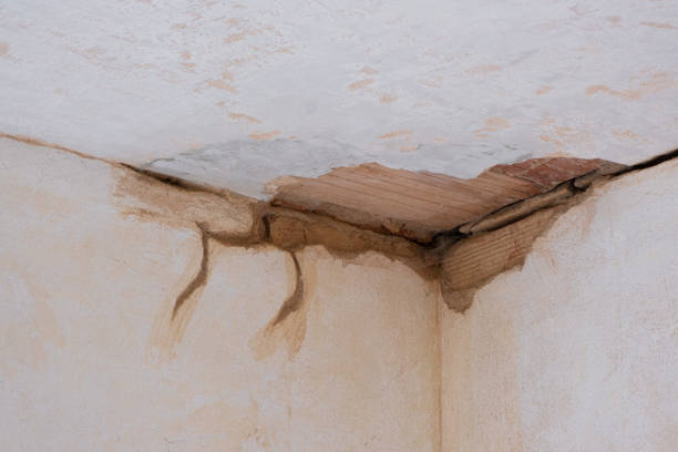 Best Sewage cleanup and water damage restoration  in La Ada Flintridge, CA
