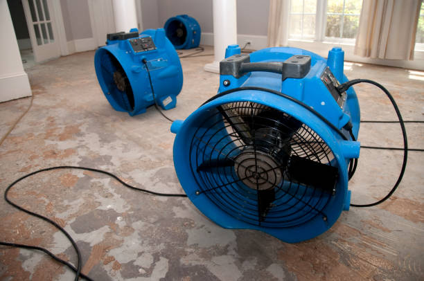 Best Carpet water damage restoration  in La Ada Flintridge, CA